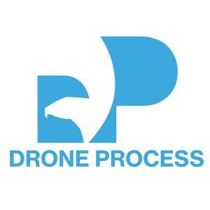 drone process